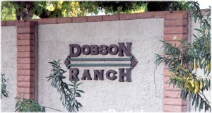 dobson-ranch-homes-in-mesa-az