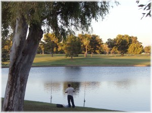 dobson-ranch-park-lake-and-golf-course