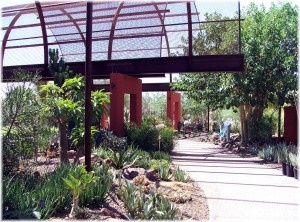 Desert Botanical Garden 2