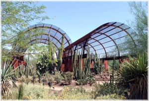 Desert Botanical Garden 3