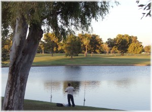 Dobson Ranch Park Lake and Golf Course