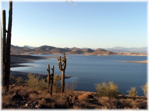 Lake Pleasant view with cactus