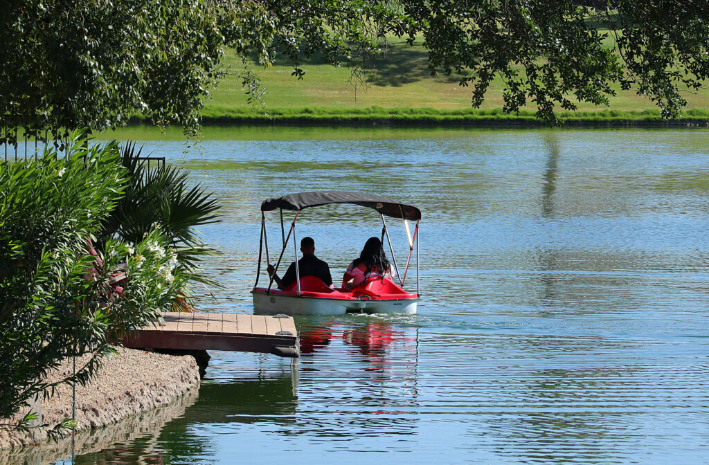 Paddle boat